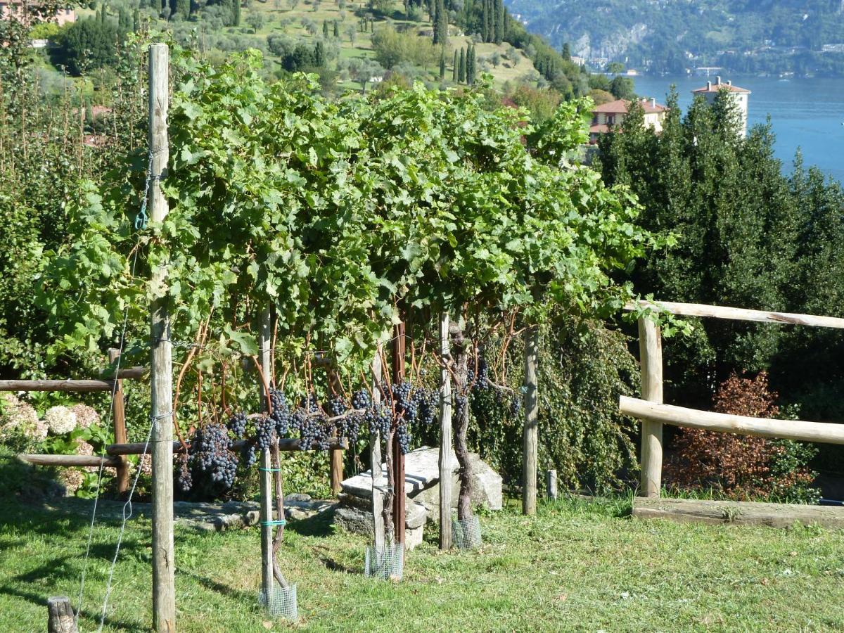 Villa Bellagio Il Crotto Extérieur photo