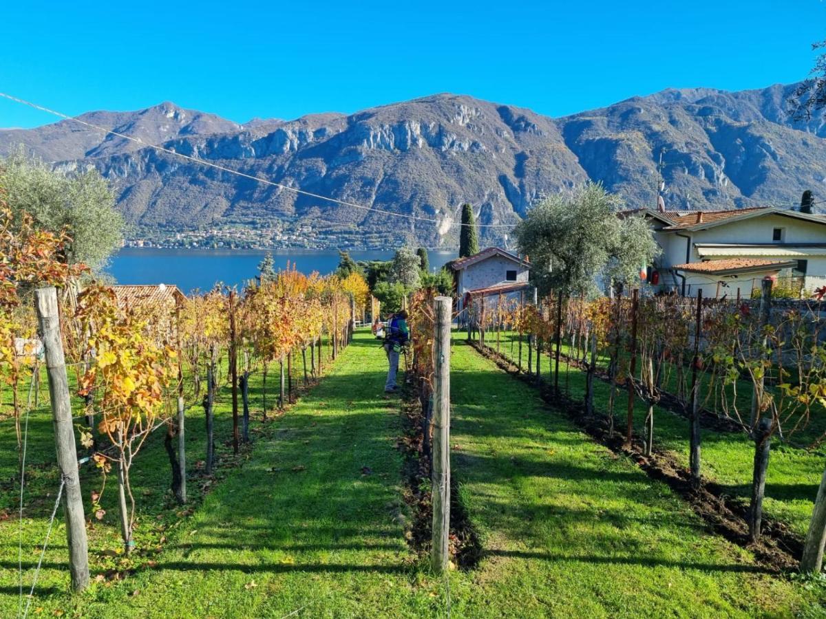 Villa Bellagio Il Crotto Extérieur photo