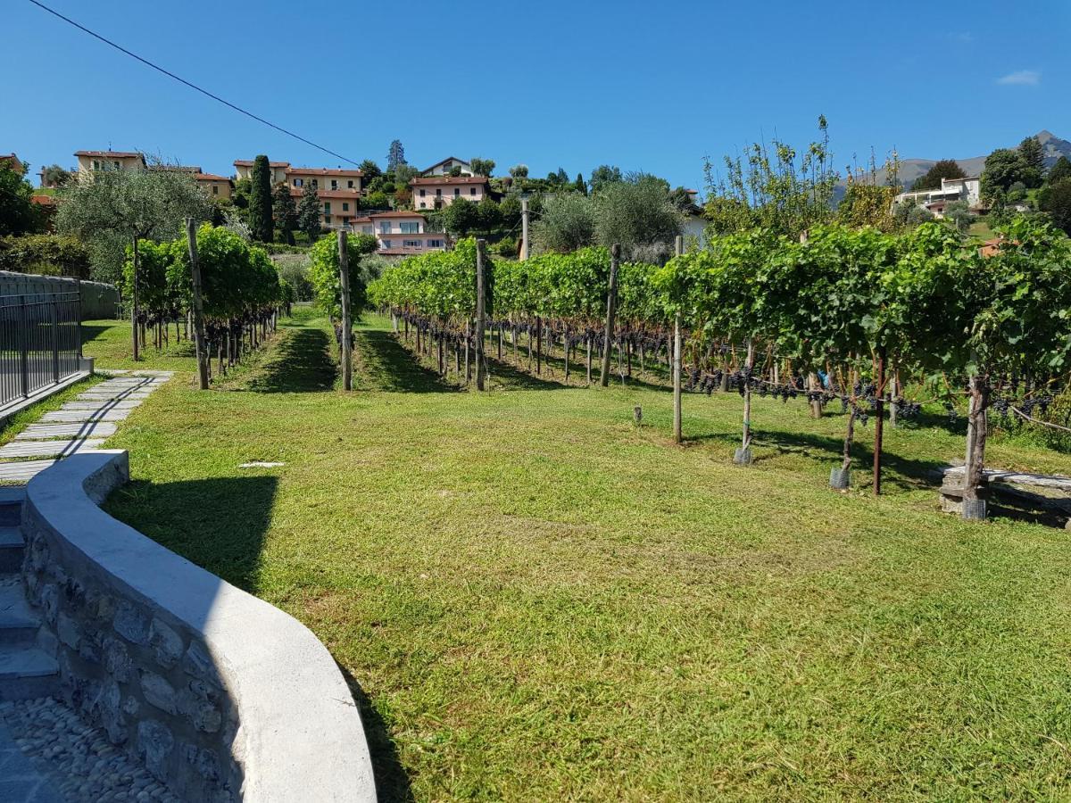 Villa Bellagio Il Crotto Extérieur photo
